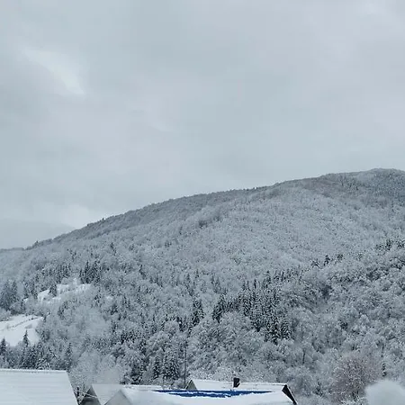 садиба Квітка Карпат Гостевой дом