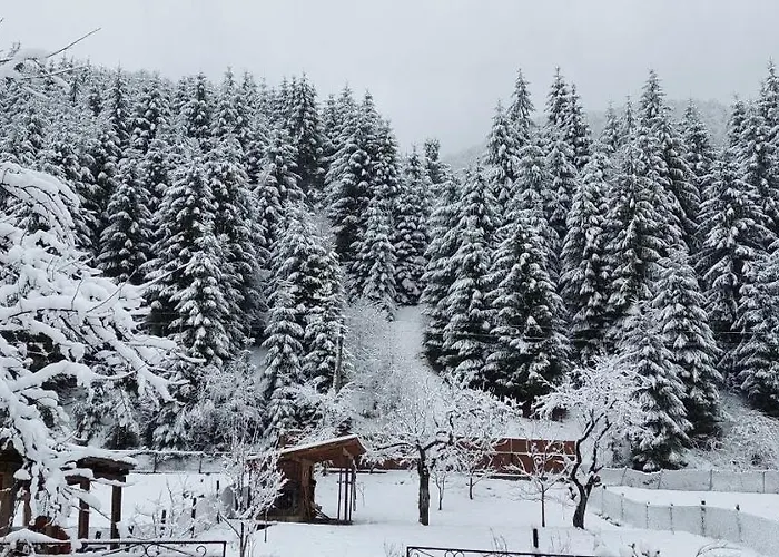 Guest house Садиба Квітка Карпат Ruska Mokra