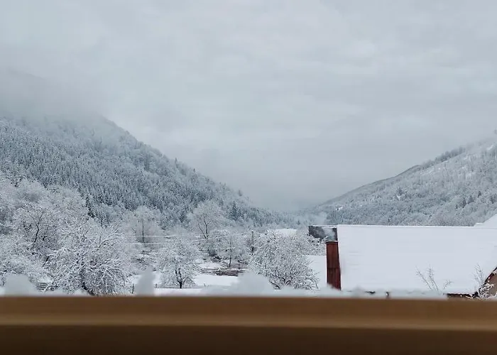 Садиба Квітка Карпат Guest house *
