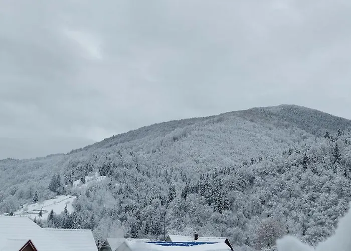 Садиба Квітка Карпат Guest house