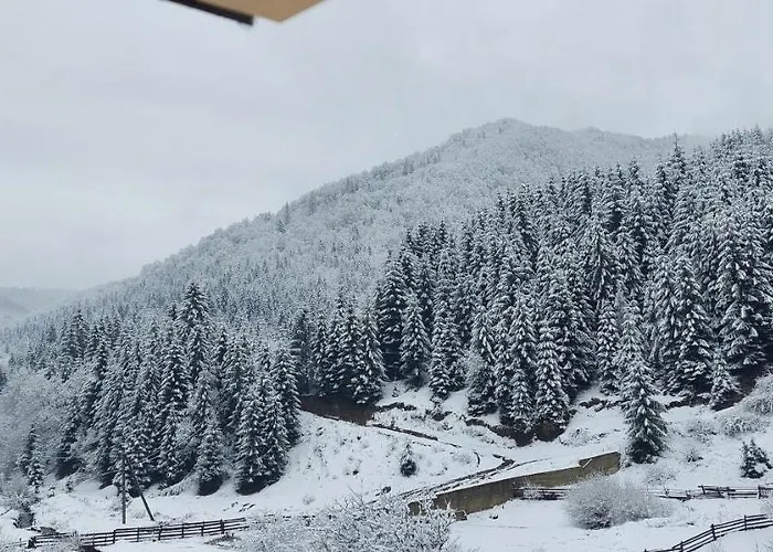 Садиба Квітка Карпат Guest house *