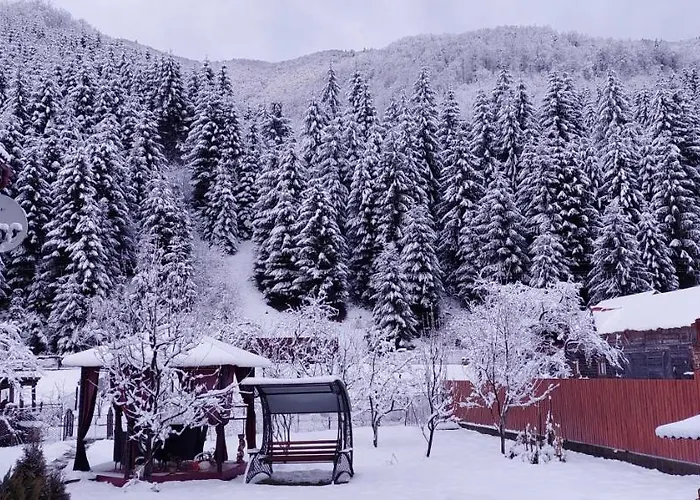 Садиба Квітка Карпат Guest house
