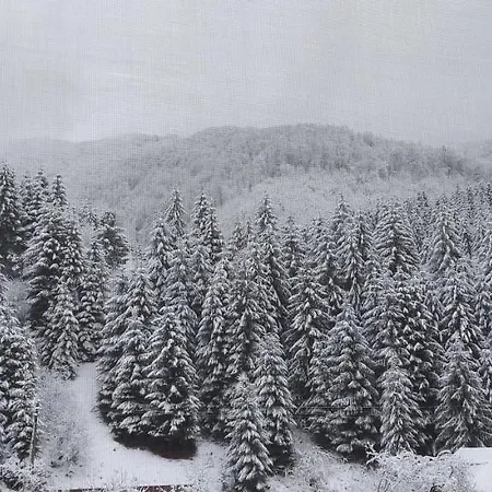 게스트하우스 Садиба Квітка Карпат Russkaya Mokraya