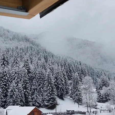 게스트하우스 Садиба Квітка Карпат *