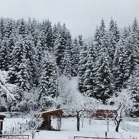 게스트하우스 Садиба Квітка Карпат Russkaya Mokraya