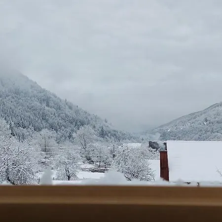 Садиба Квітка Карпат 게스트하우스 *