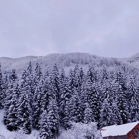 게스트하우스 Садиба Квітка Карпат