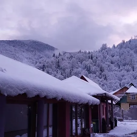 Садиба Квітка Карпат 게스트하우스 *