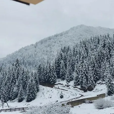 Садиба Квітка Карпат 게스트하우스 *