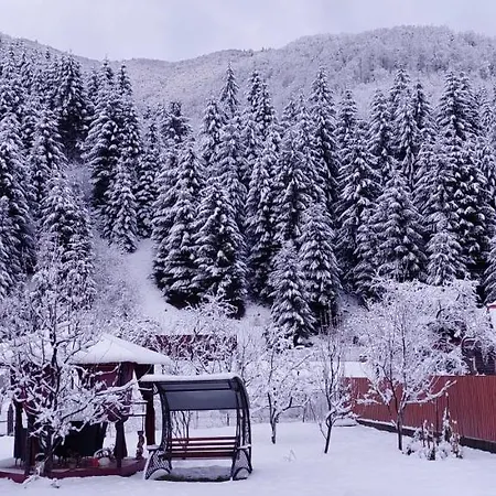 Садиба Квітка Карпат 게스트하우스