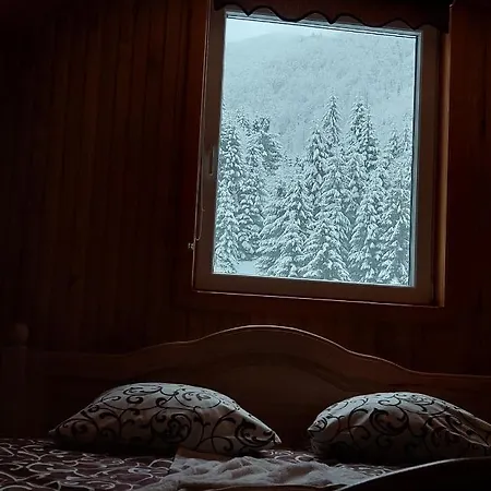 게스트하우스 Садиба Квітка Карпат Russkaya Mokraya